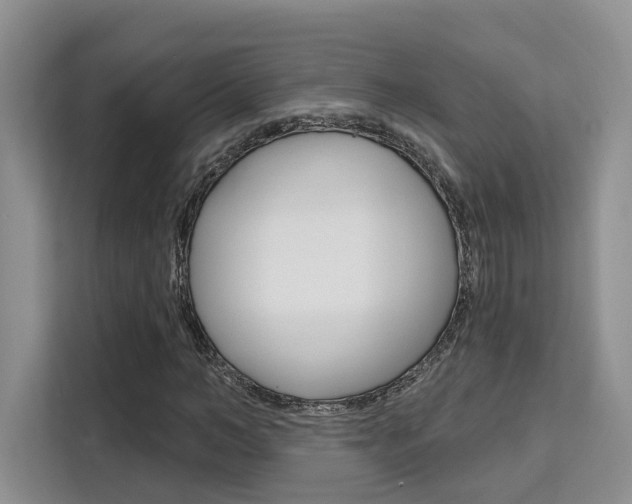 X0000111520966200907141233