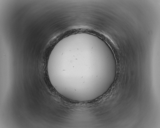X0000111520967200907141233