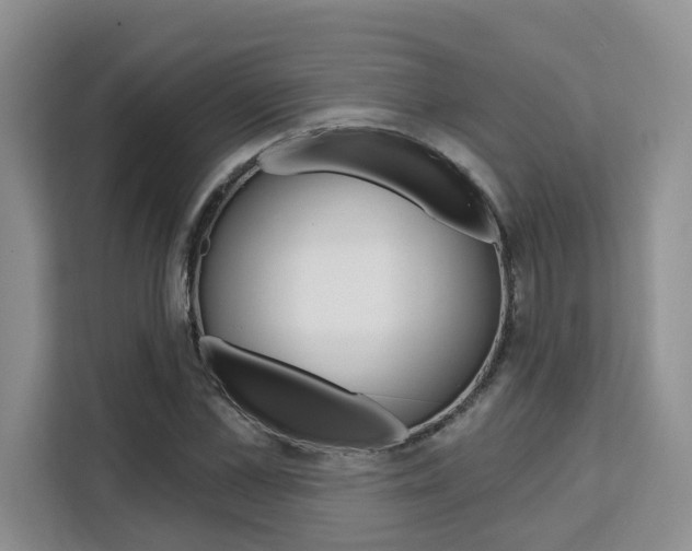 X0000111520973200907141233