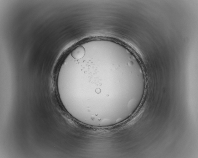 X0000111520974200907141233