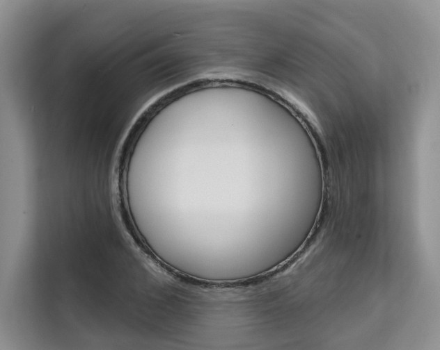 X0000111520976200907141233