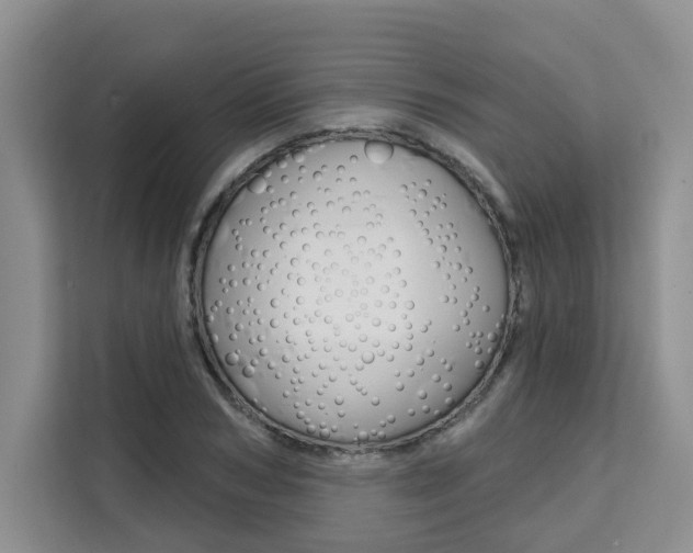 X0000111520978200907141233