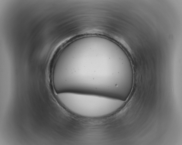 X0000111520979200907141233