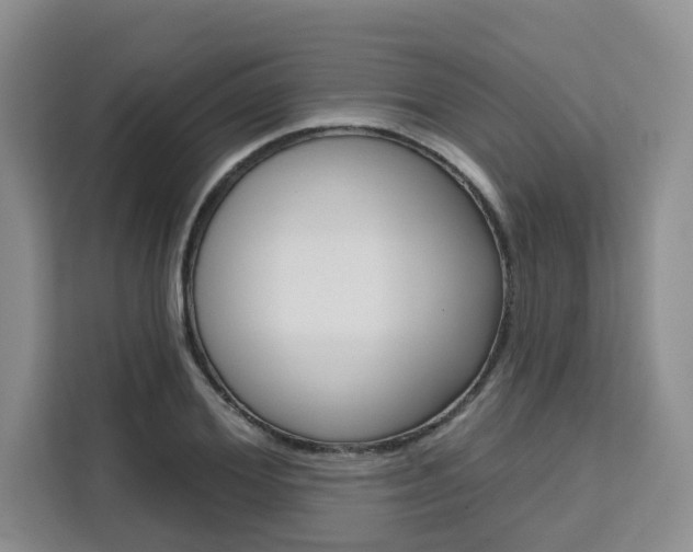 X0000111520980200907141233