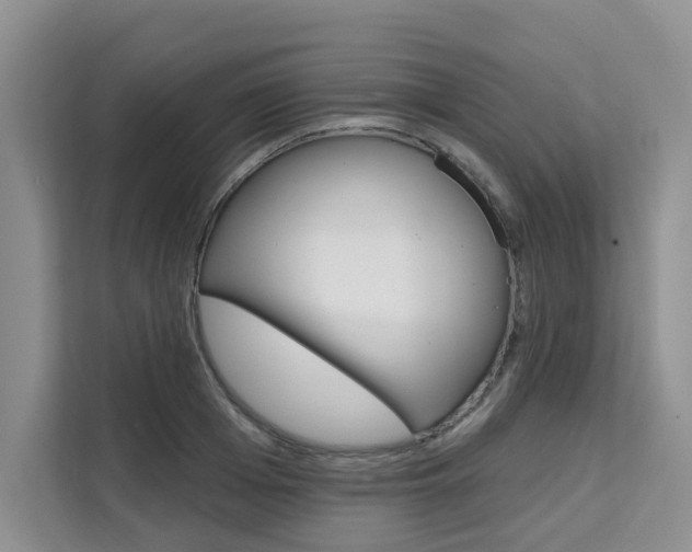 X0000111520985200907141233