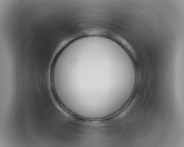 X0000111520986200907141233