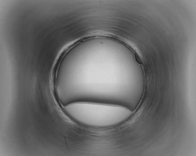 X0000111520987200907141233