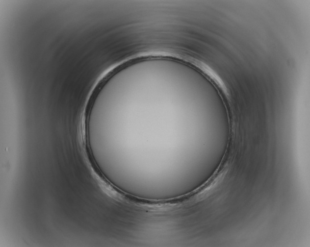 X0000111520988200907141233