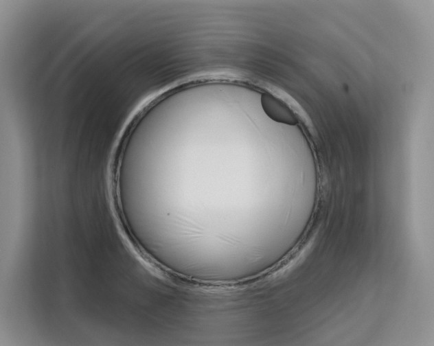 X0000111520989200907141233