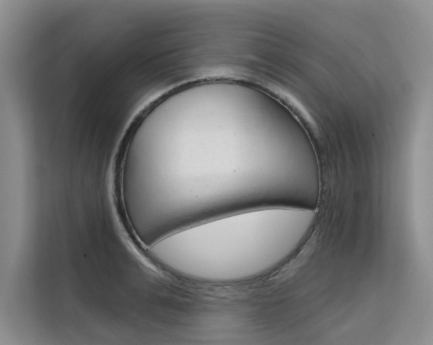 X0000111520991200907141233