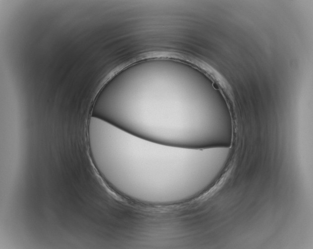X0000111520993200907141232