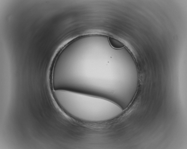 X0000111520995200907141232