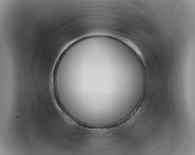 X0000111520996200907141232