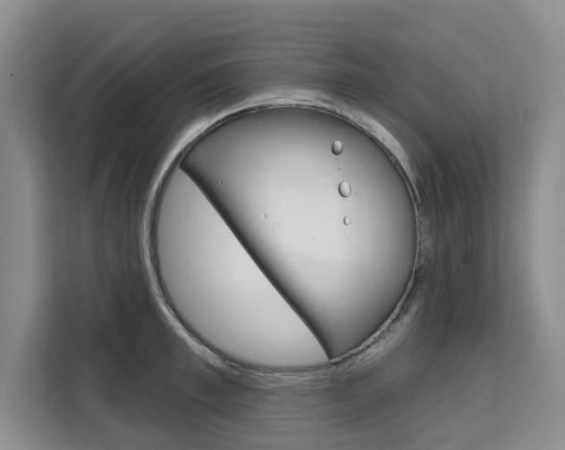 X0000111520997200907141232
