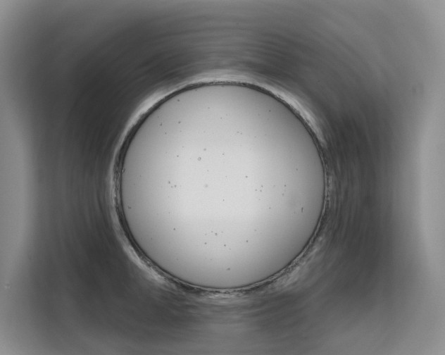 X0000111520998200907141232