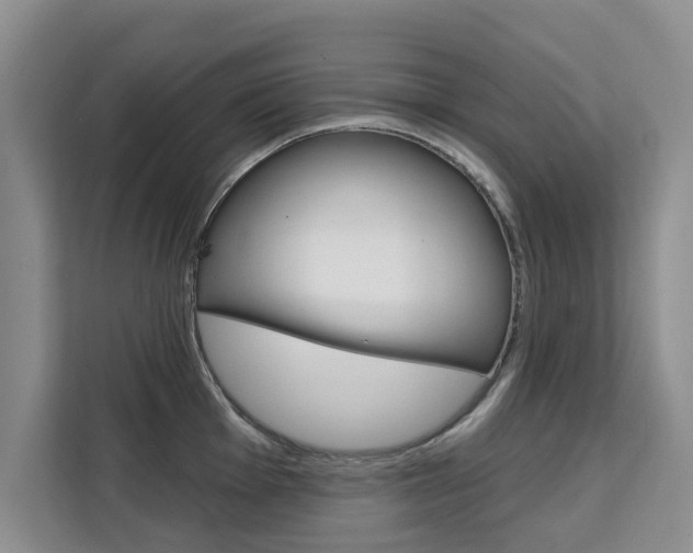 X0000111521001200907141232