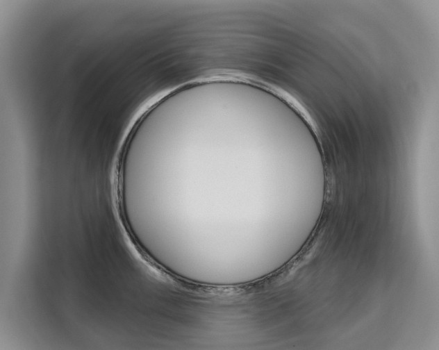 X0000111521003200907141232