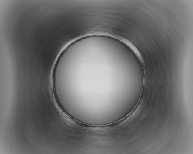 X0000111521004200907141232