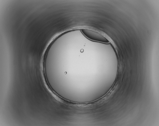 X0000111521005200907141232