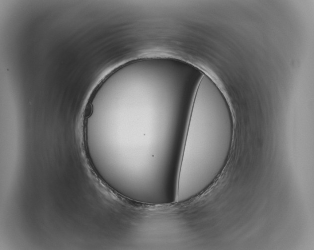 X0000111521008200907141232