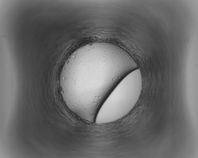 X0000111521009200907141232