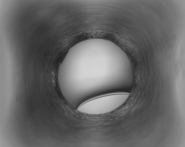 X0000111521010200907141232