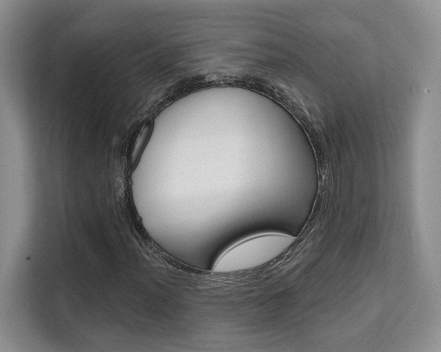 X0000111521012200907141232