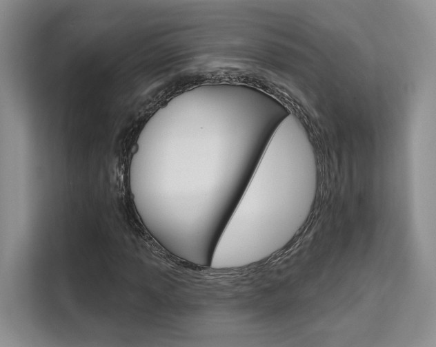X0000111521013200907141232