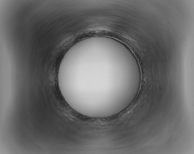 X0000111521014200907141232