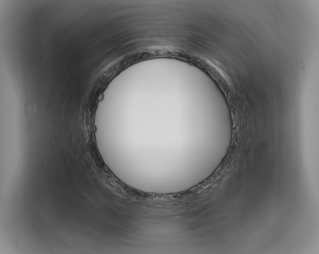 X0000111521015200907141232