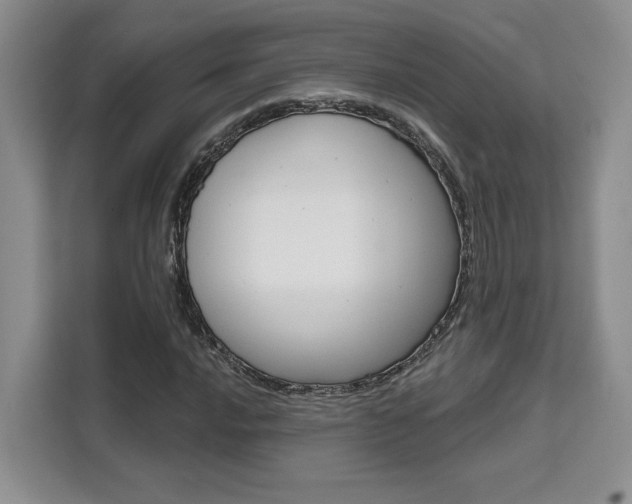 X0000111521016200907141232