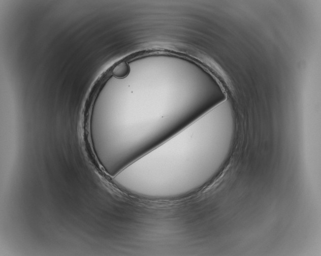 X0000111521020200907141232