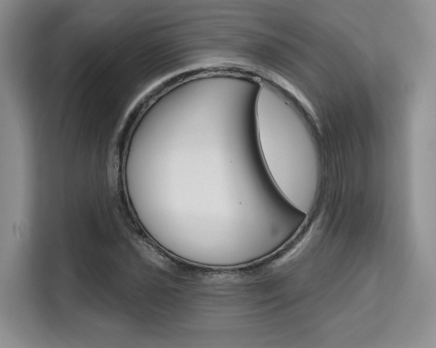 X0000111521021200907141232