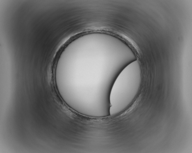 X0000111521023200907141232