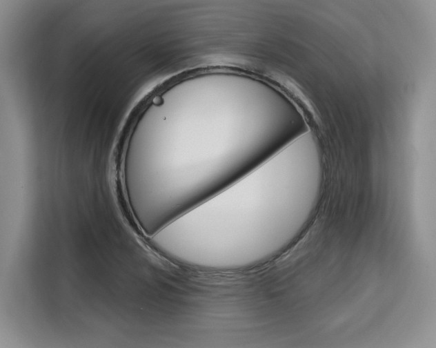 X0000111521024200907141232