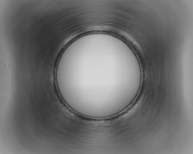 X0000111521025200907141232