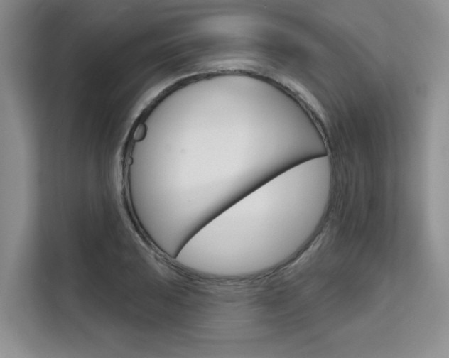 X0000111521031200907141232