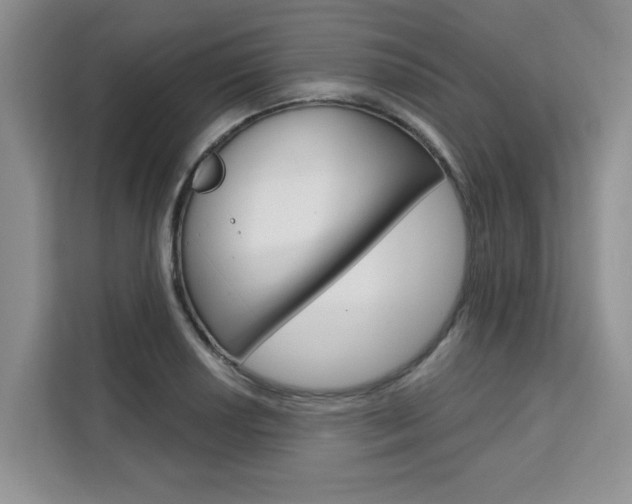 X0000111521034200907141232