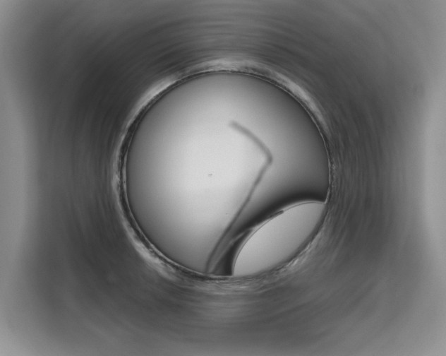 X0000111521042200907141232