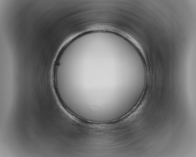 X0000111521045200907141232