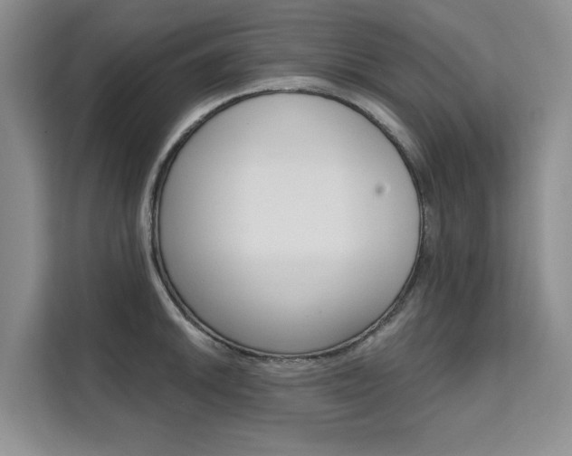 X0000111521046200907141232