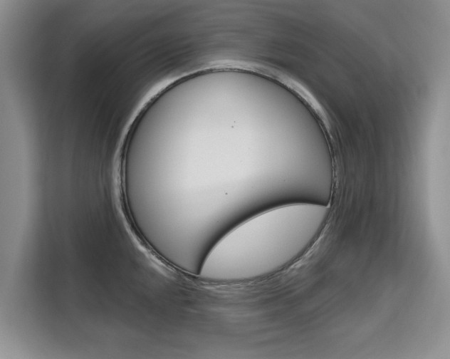 X0000111521048200907141232