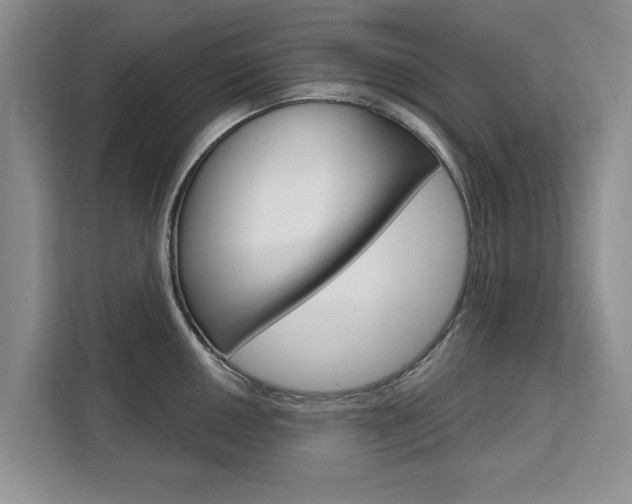 X0000111521050200907141232