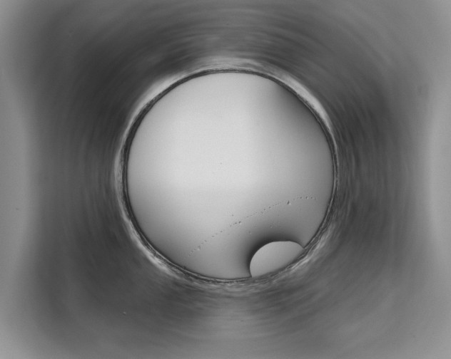 X0000111521053200907141232