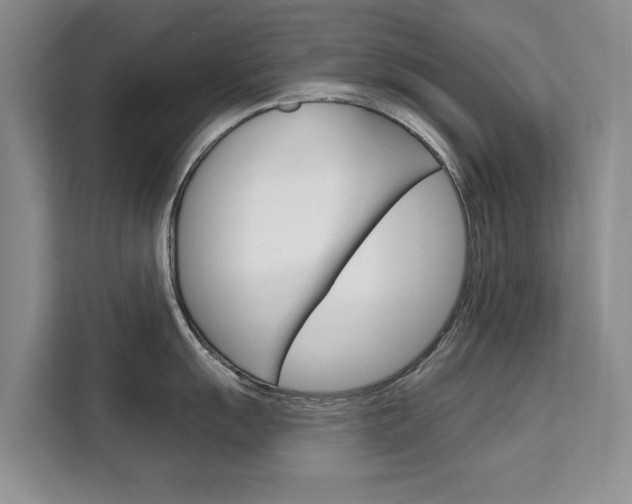 X0000111521055200907141232