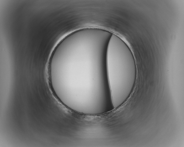 X0000111521056200907141232