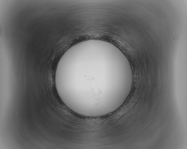 X0000111521058200907141232