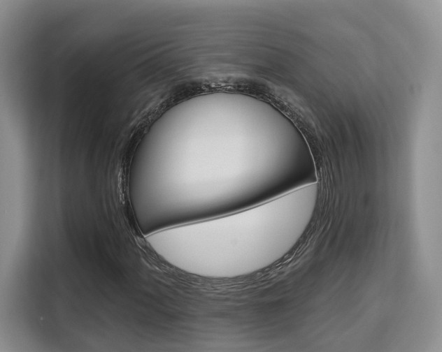 X0000111521060200907141232