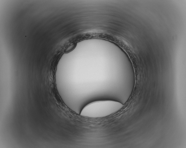 X0000111521062200907141232