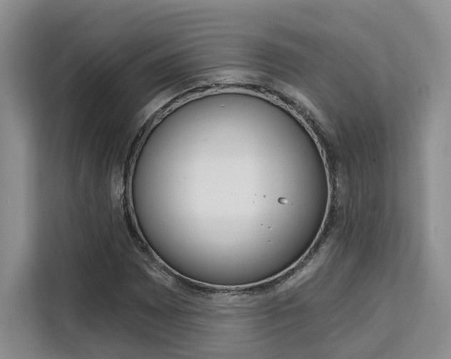 X0000111521065200907141232